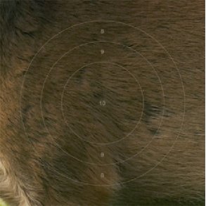 SKYDESKIVE BUK CENTER