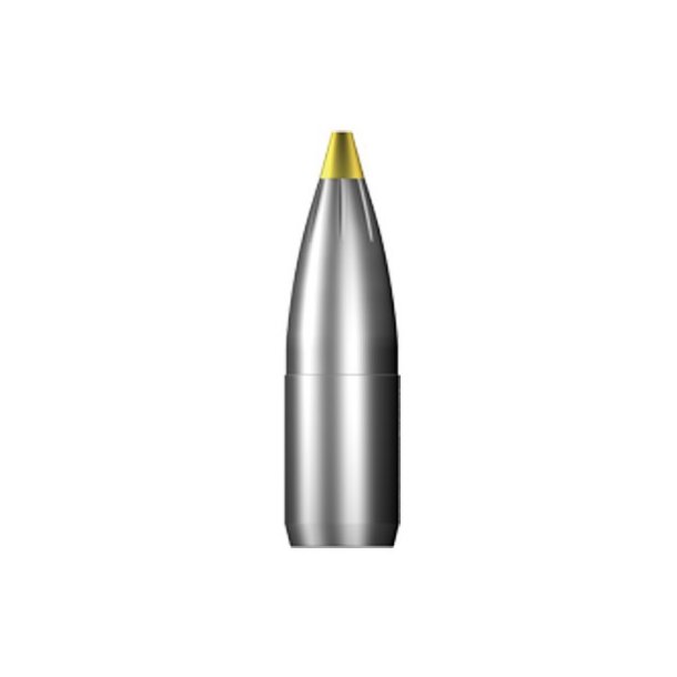 RWS 300WIN MAG EVO GREEN 9,0G 139GR