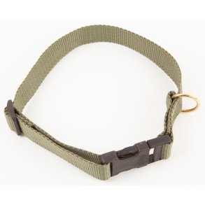 BLF HALSBND GRN 25X60 CM.