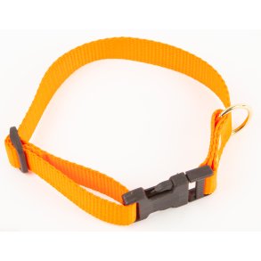 BLF HALSB�ND ORANGE 20X40 CM.