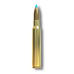 SELLIER & BELLOT 30-06 TXRG BLYFRI 10,7G 165GR