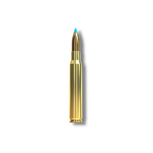 SELLIER & BELLOT 30-06 TXRG BLYFRI 10,7G 165GR