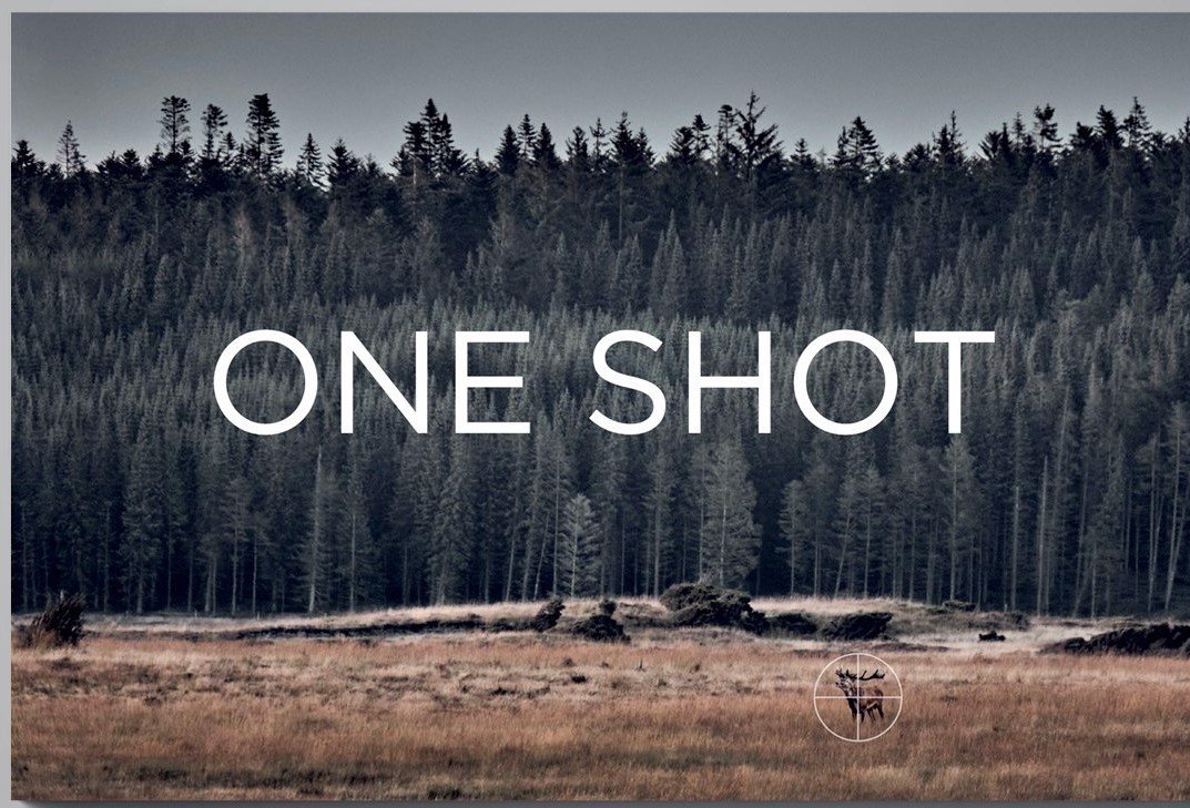 ONE SHOT MINI BOOK Bøger + Film Gamefair ApS