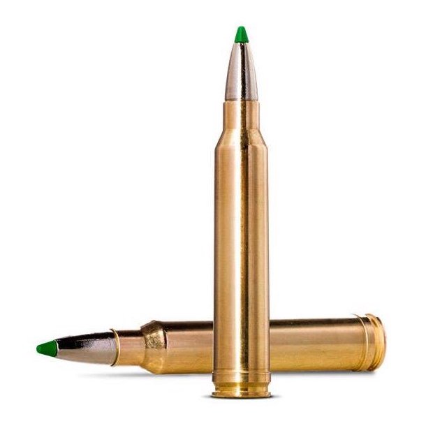 NORMA 308 ECOSTRIKE 10,7G 165gr