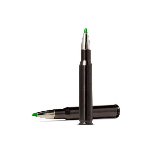 NORMA 30.06 ECOSTRIKE SILENCER 9,7G