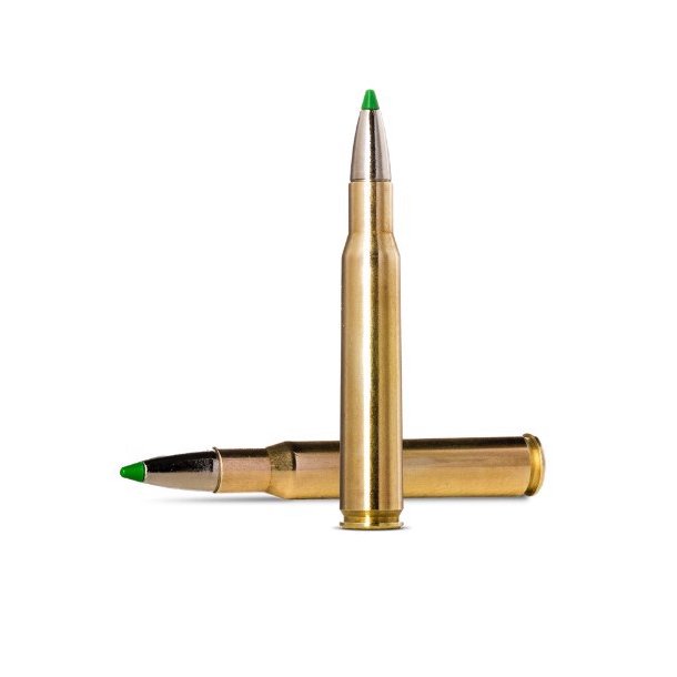 NORMA 30-06 ECOSTRIKE 10,7G 165GR