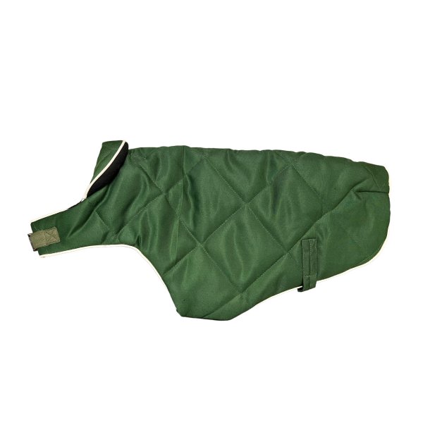 PROF DOG  COAT 18"