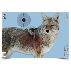 PREGAME SPLATTERING TARGET 3 STK, COYOTE