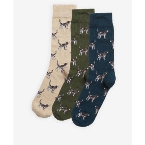 BARBOUR DOG POINTER STR�MPER 3 PACK