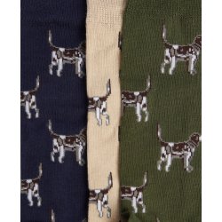 BARBOUR DOG POINTER STR�MPER 3 PACK
