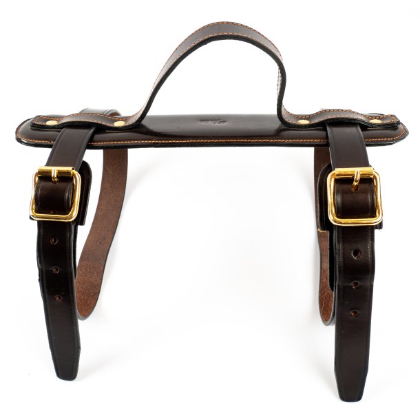 REY PAVON SELE TIL TPPE